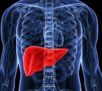Detoxification of liver with Epsom salts by Andrea Moritz